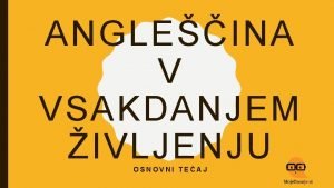 ANGLEINA V VSAKDANJEM IVLJENJU OSNOVNI TEAJ O AVTORICI