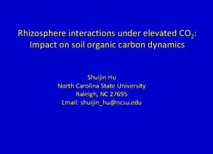 Rhizosphere interactions under elevated CO 2 Impact on