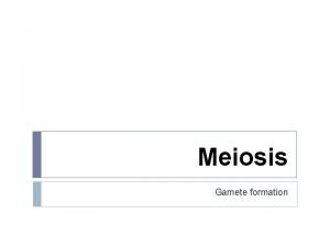 Meiosis Gamete formation Key words Meiosis Prophase Metaphase