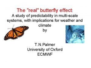 The real butterfly effect