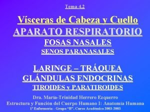 Tema 4 2 Vsceras de Cabeza y Cuello