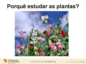 Porqu estudar as plantas www plantcell orgcgidoi10 1105tpc