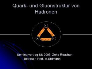 Quark und Gluonstruktur von Hadronen Seminarvortrag SS 2005