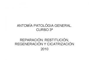 ANTOMA PATOLGIA GENERAL CURSO 3 REPARACIN RESTITUCIN REGENERACIN