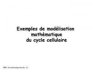 Exemples de modlisation mathmatique du cycle cellulaire MPRI