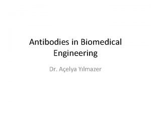 Antibodies in Biomedical Engineering Dr Aelya Ylmazer Humoral