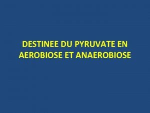 DESTINEE DU PYRUVATE EN AEROBIOSE ET ANAEROBIOSE PLAN