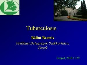 Tuberculosis Blint Beatrix Mellkasi Betegsgek Szakkrhza Deszk Szeged