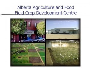 Field crop development centre