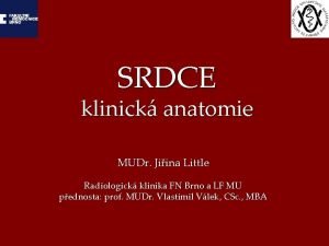 SRDCE klinick anatomie MUDr Jiina Little Radiologick klinika