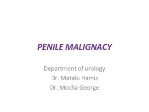 PENILE MALIGNACY Department of urology Dr Matalu Hamis