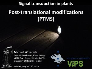 Signal transduction in plants b Posttranslational modifications PTMS