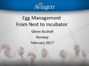 Egg Management From Nest to Incubator Glenn Bushell