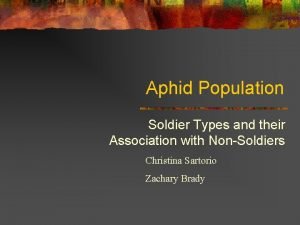 Aphid Population Soldier Types and their Association with