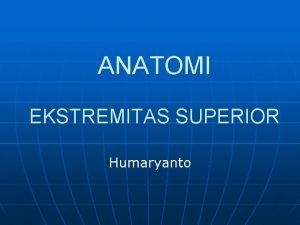 ANATOMI EKSTREMITAS SUPERIOR Humaryanto Pendahuluan Bagianbagian n Shoulder