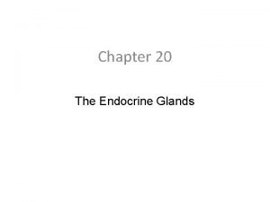 Chapter 20 The Endocrine Glands Endocrine Functions and
