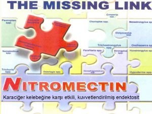 Nitromectin