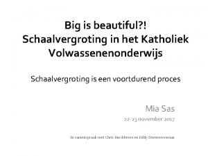 Big is beautiful Schaalvergroting in het Katholiek Volwassenenonderwijs