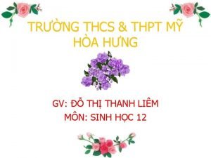 TRNG THCS THPT M HA HNG GV TH