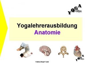 Yogalehrerausbildung Anatomie Kalima Birgit Frank Anatomie und Physiologie