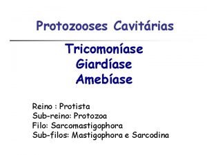 Protozooses Cavitrias Tricomonase Giardase Amebase Reino Protista Subreino