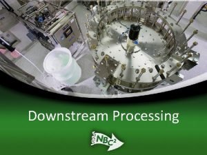 Downstream Processing Know the Characteristics of Your Protein