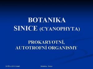 BOTANIKA SINICE CYANOPHYTA PROKARYOTN AUTOTROFN ORGANISMY SOS a