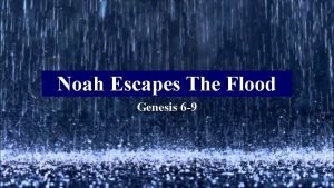 Noah Escapes The Flood Genesis 6 9 How