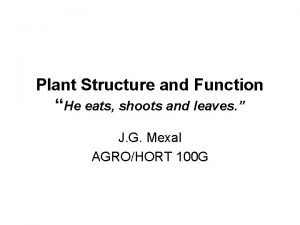 Plant Structure and Function He eats shoots and