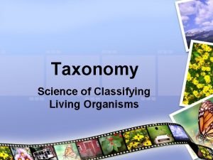 Taxonomy Science of Classifying Living Organisms Father of