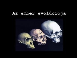 Az ember evolcija Az ember s rokonai Gerincesek