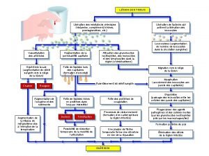 LSION DES TISSUS Libration des mdiateurs chimiques histamine