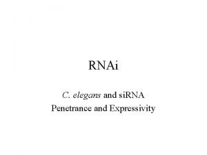 RNAi C elegans and si RNA Penetrance and