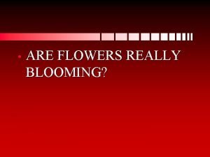 ARE FLOWERS REALLY BLOOMING INTRODUCTION Floriculture is a