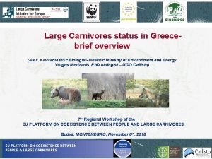 Large carnivore initiative for europe