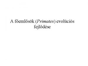 A femlsk Primates evolcis fejldse Femlsk fejldse Femlsk