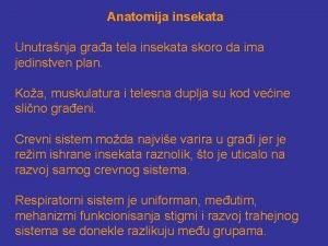 Anatomija insekata Unutranja graa tela insekata skoro da