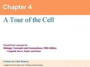 Chapter 4 A Tour of the Cell Power