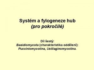 Systm a fylogeneze hub pro pokroil Dl est