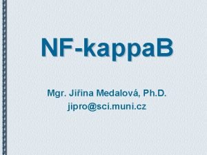 NFkappa B Mgr Jiina Medalov Ph D jiprosci