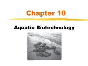 Chapter 10 Aquatic Biotechnology Aquatic Biotechnology z Increasing