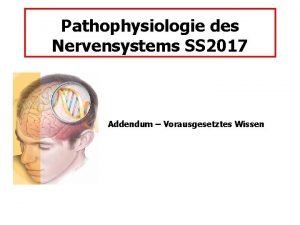 Pathophysiologie des Nervensystems SS 2017 Addendum Vorausgesetztes Wissen