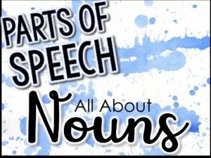 What is count and noncount nouns