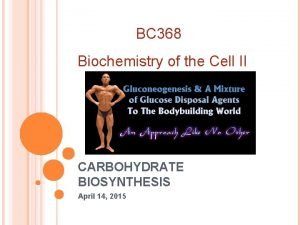 BC 368 Biochemistry of the Cell II CARBOHYDRATE
