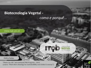 Biotecnologia Vegetal como e porqu Hlia Sales Plants