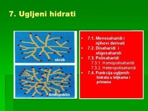 7 Ugljeni hidrati skrob 7 1 Monosaharidi i