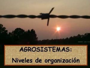 AGROSISTEMAS Niveles de organizacin Complejidad de Procesos A