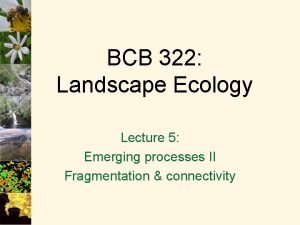 BCB 322 Landscape Ecology Lecture 5 Emerging processes