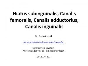 Anulus inguinalis