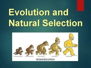 Evolution and Natural Selection Learning Goals 1 Define